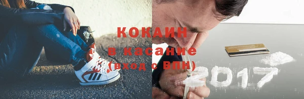 ешки Алексин
