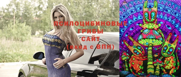 ешки Алексин