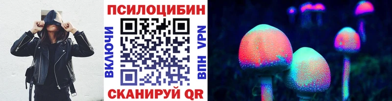 shop наркотические препараты  Куровское  Псилоцибиновые грибы Psilocybe  blacksprut маркетплейс 