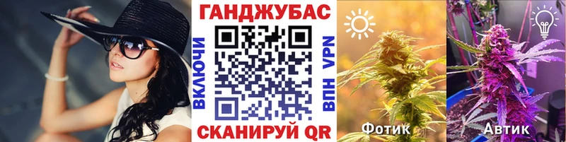 Канабис план  Куровское 